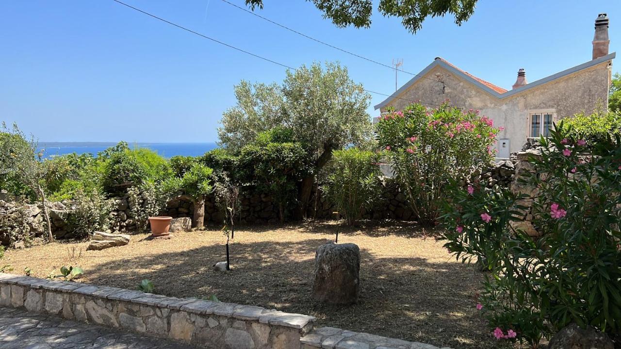Podgora Experience Suite With Jacuzzi Nerezine Exterior photo